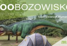 Nocowanie pod gołym niebem w obecności dinozaurów