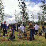 KGHM pomagał gminie Grębocice sadzić drzewa