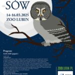 Noc Sów w Lubinie już po raz 14.