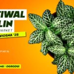 Festiwal roślin w Lubinie tuż, tuż