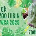 Zbliżają się 11. urodziny lubińskiego zoo