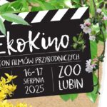 Kino pod chmurką w ZOO