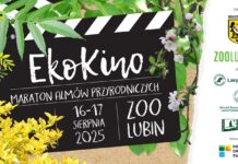 Kino pod chmurką w ZOO