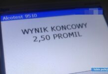 Z 2,5 promila za kółkiem