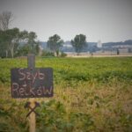 Nowy szyb KGHM – Retków