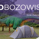 Ruszyły zapisy na nocowanie z dinozaurami