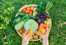 Konkurs dla ogrodników od Gminy Lubin