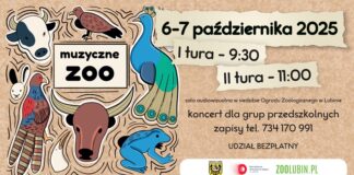 Koncert Muzyczne ZOO dla przedszkolaków