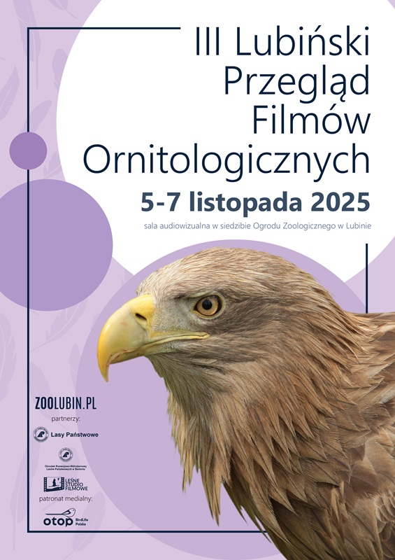 przegląd filmów ornitologicznych