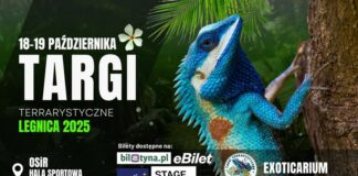 Targi terrarystyczne w Legnicy