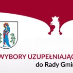 Wybory uzupełniające do Rady Gminy Lubin