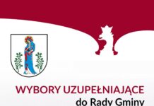 Wybory uzupełniające do Rady Gminy Lubin
