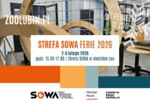 Bezpłatne atrakcje podczas ferii w Strefie SOWA