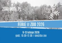 Ferii w ZOO w Lubinie