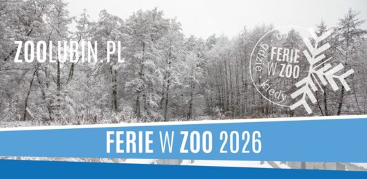 Ferii w ZOO w Lubinie