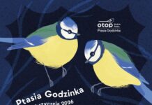 Ptasia Godzinka w ZOO Lubin