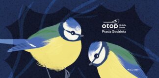 Ptasia Godzinka w ZOO Lubin