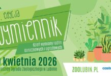 Wymień szczepki roślin – już 19 kwietnia