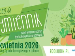 Wymień szczepki roślin – już 19 kwietnia