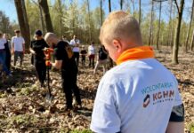 Wolontariusze KGHM zasadzili kolejne tysiące drzew przy Hucie Miedzi Głogów – FOTO