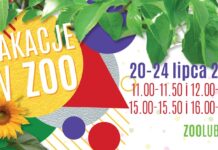 Wakacje w ZOO – edycja lipcowa już zaplanowana