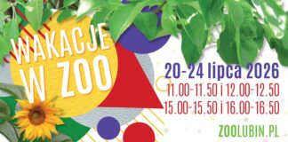 Wakacje w ZOO – edycja lipcowa już zaplanowana