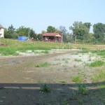 Port Ścinawa, Odra wysycha