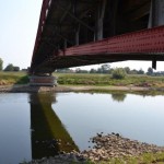 Pies topił się w Odrze