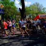 Łabędzi bieg w Ścinawie